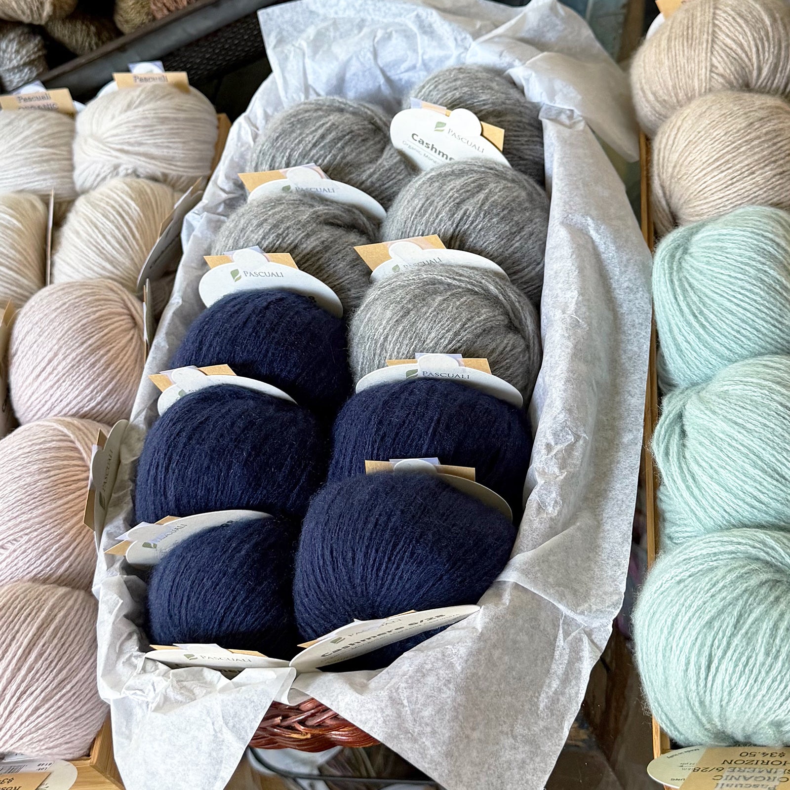 Pascuali Cashmere 6/28